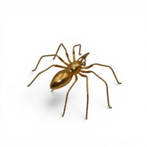 Broche araignée, XIXe