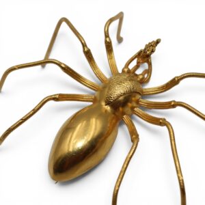 Broche araignée, XIXe