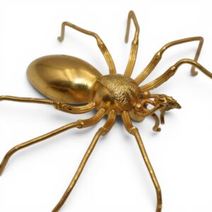 Broche araignée, XIXe